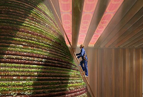 DUBAI EXPO 2020