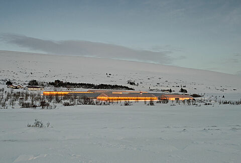 Porady dotyczące zapylania upraw sztucznie doświetlanych