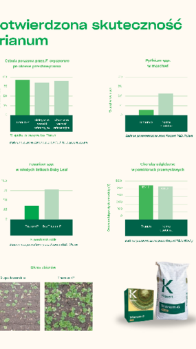 Wyniki testów Trianum