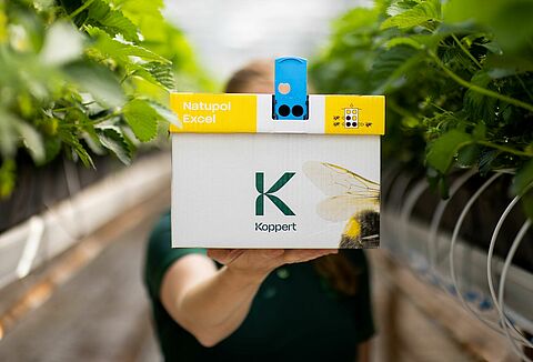 Ule z trzmielami Koppert: nowy wygląd, stale najwyższa jakość