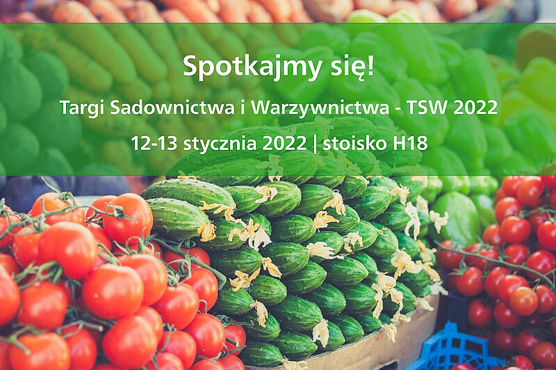 TSW 2022