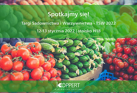 TSW 2022
