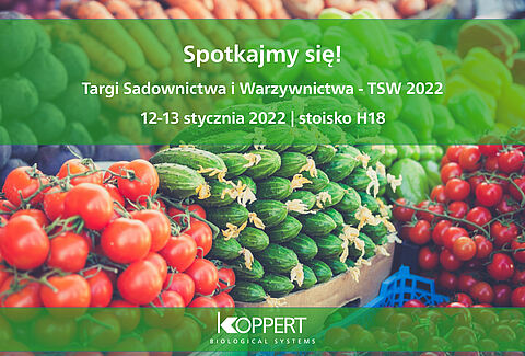 TSW 2022