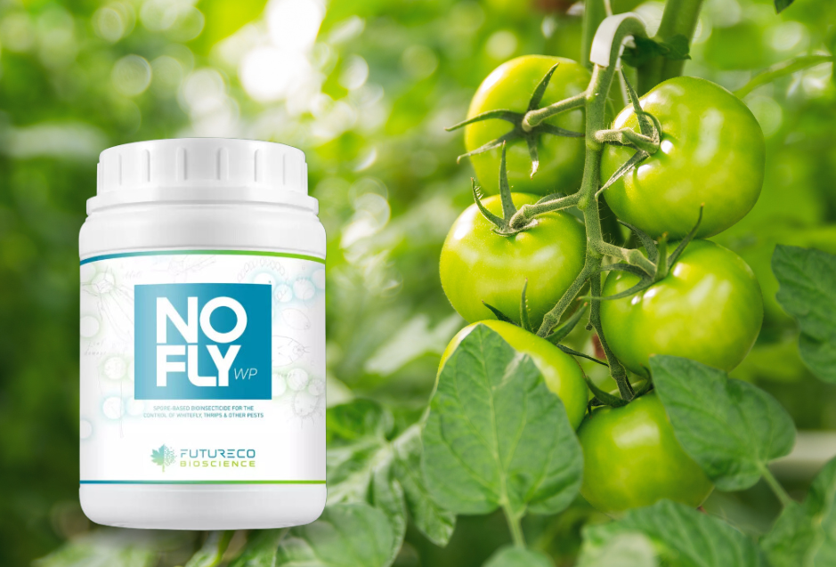 Sposób na mączlika potwierdzony badaniami