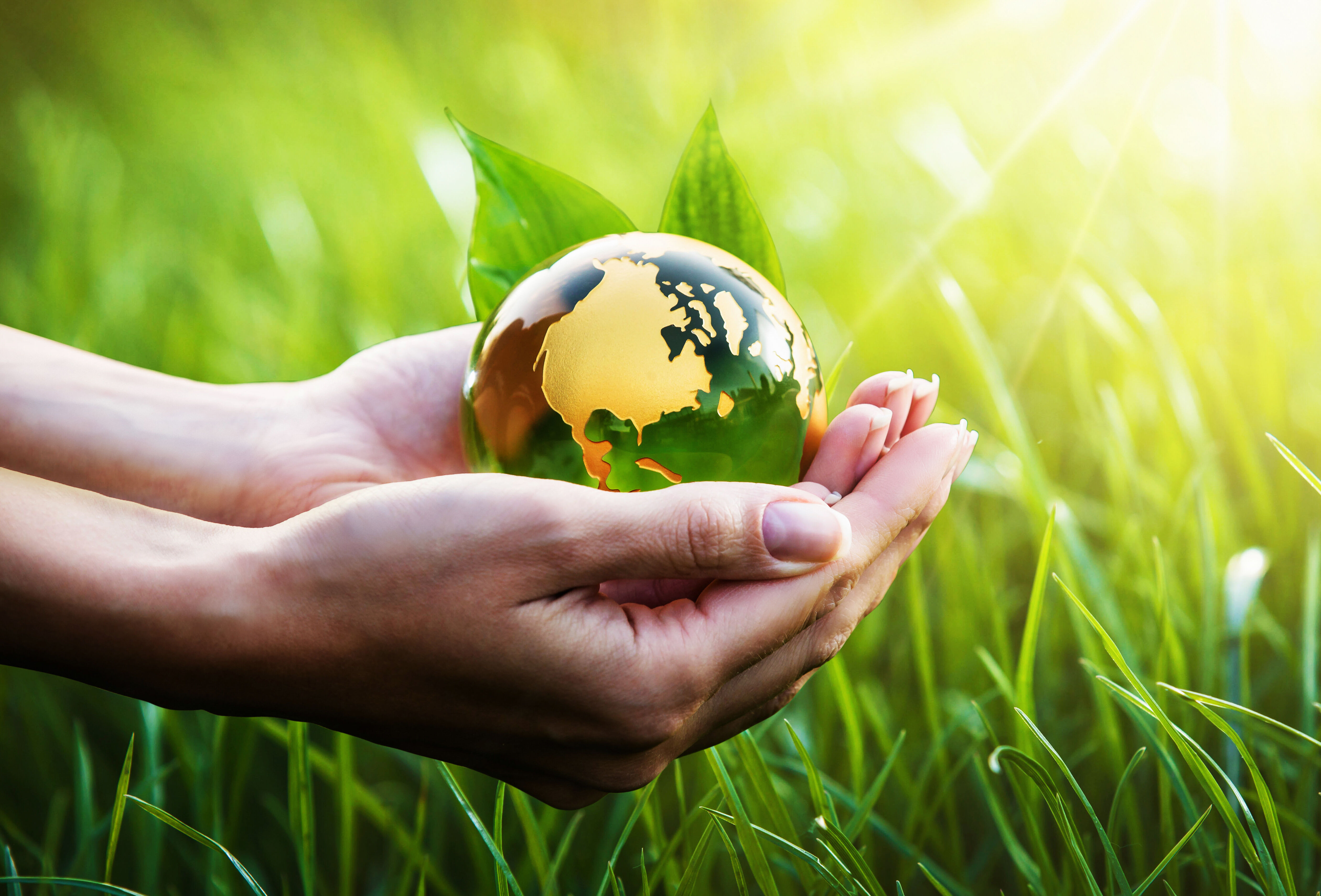 Międzynarodowy Dzień Ziemi 2021