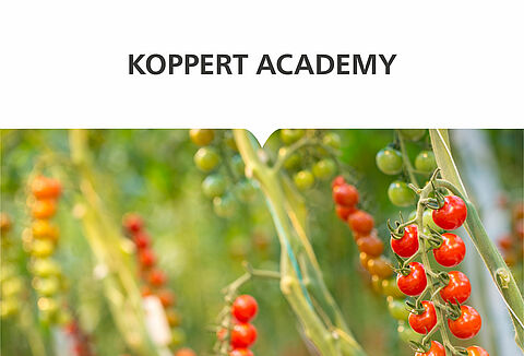 Koppert Academy 2019