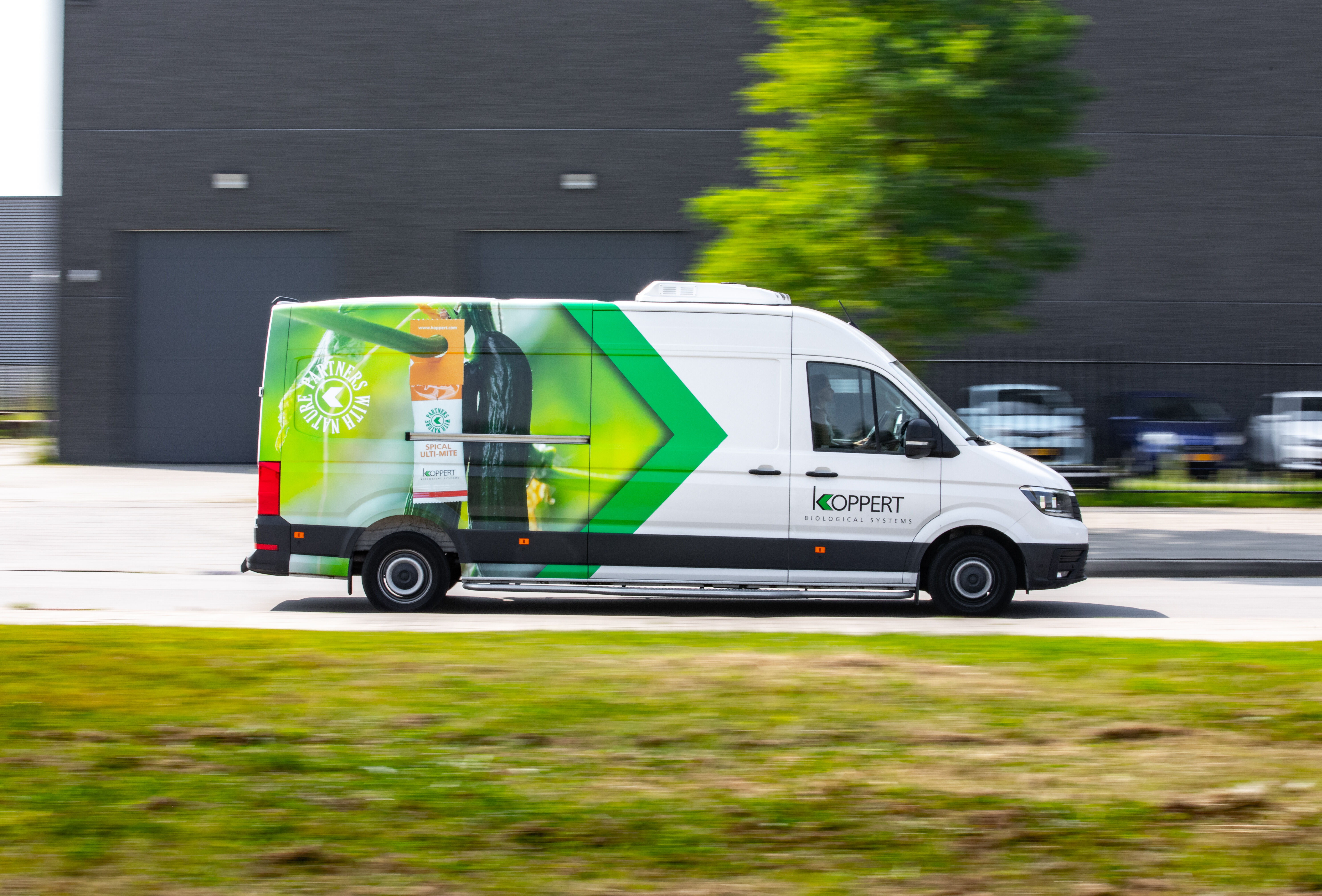 Harmonogram zamówień i dostaw - grudzień 2020 oraz styczeń 2021