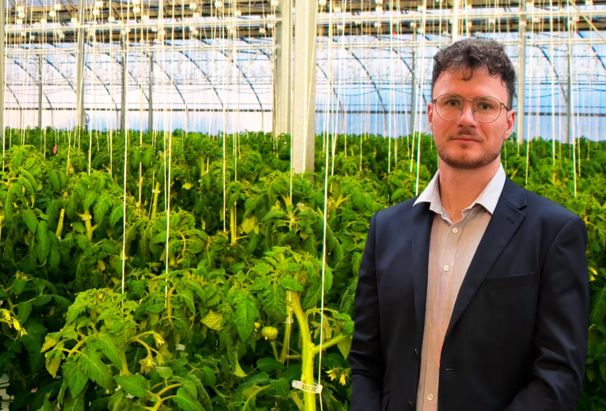 Okiem eksperta - aktualna sytuacja w uprawach szklarniowych – 13.01.2025