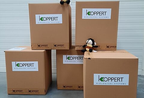 Koppert Polska wspiera polskie szpitale