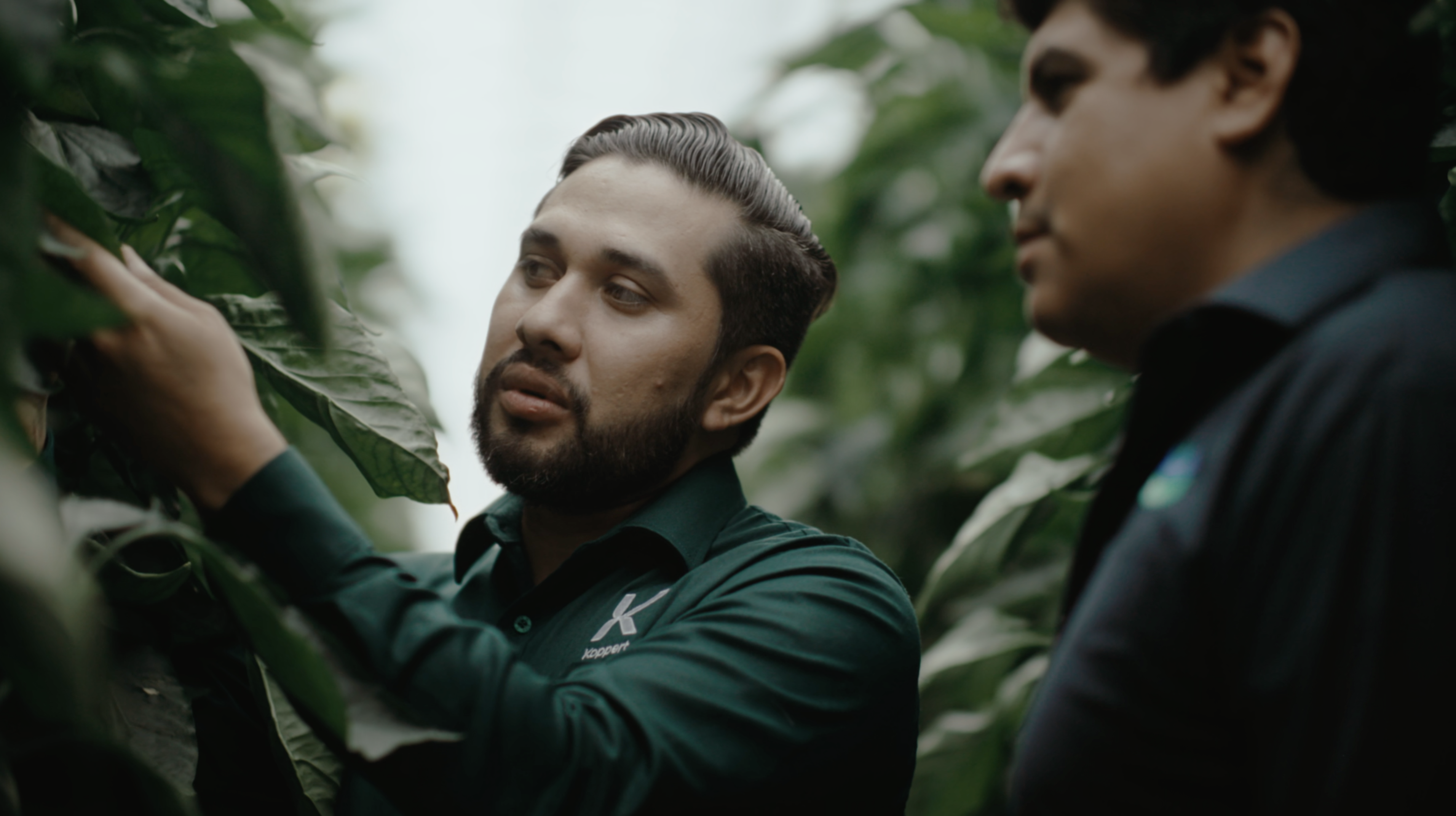 La Hacienda Fresh zwiększa rentowność upraw dzięki kontroli biologicznej