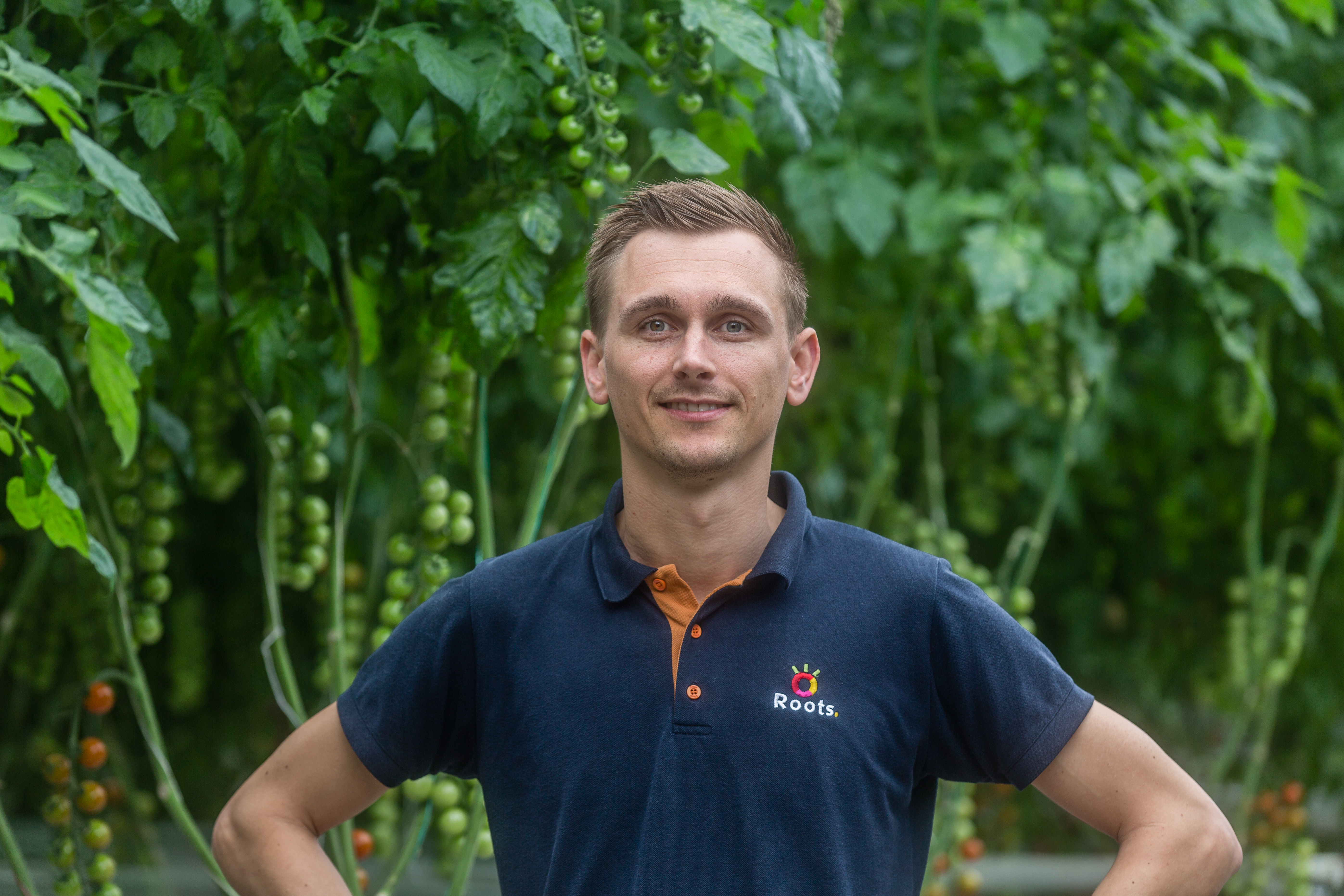 Roots Growers positive about Mycotal against whitefly